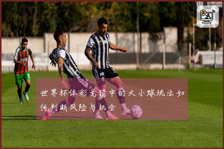世界杯体彩竞猜中的大小球玩法如何判断风险与机会