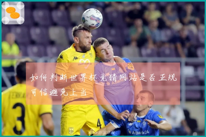 如何判断世界杯竞猜网站是否正规可信避免上当