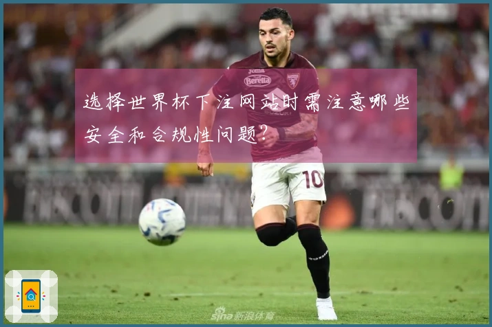 选择世界杯下注网站时需注意哪些安全和合规性问题？