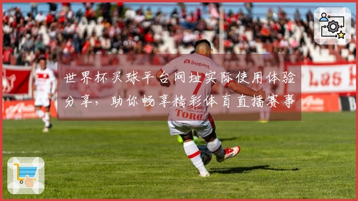 世界杯买球平台网址实际使用体验分享，助你畅享精彩体育直播赛事