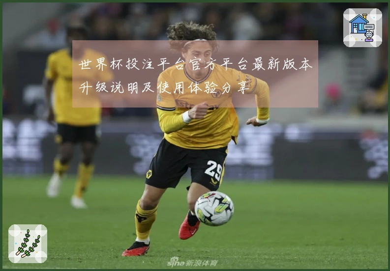 世界杯投注平台官方平台最新版本升级说明及使用体验分享
