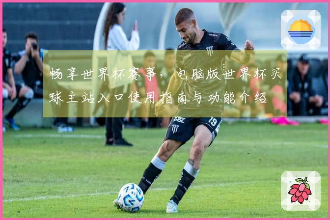 畅享世界杯赛事，电脑版世界杯买球主站入口使用指南与功能介绍