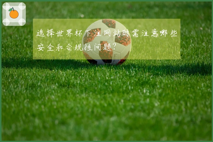 选择世界杯下注网站时需注意哪些安全和合规性问题？