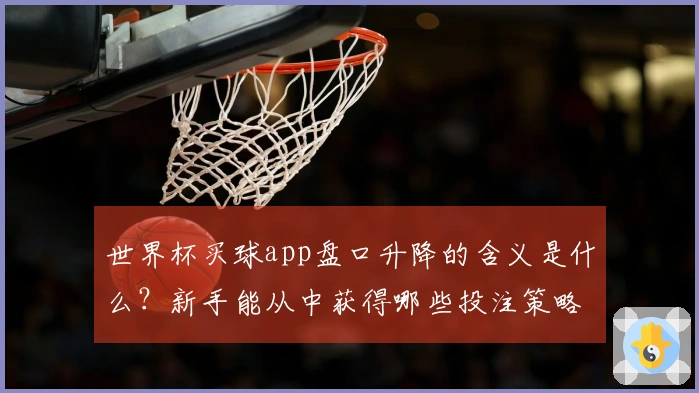 世界杯买球app盘口升降的含义是什么？新手能从中获得哪些投注策略？