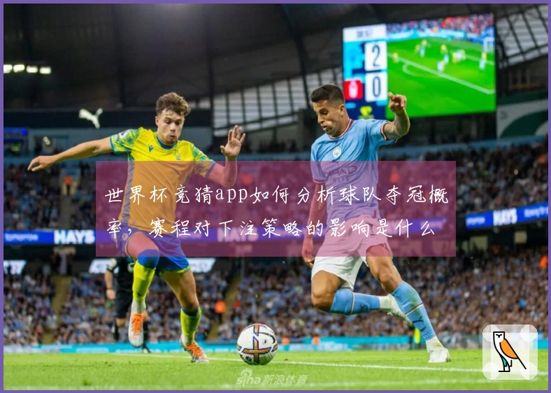 世界杯竞猜app如何分析球队夺冠概率,赛程对下注策略的影响是什么?