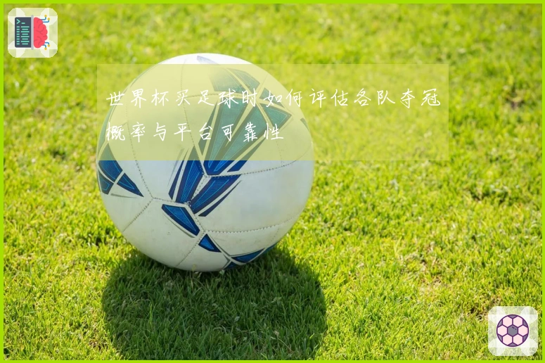 世界杯买足球时如何评估各队夺冠概率与平台可靠性