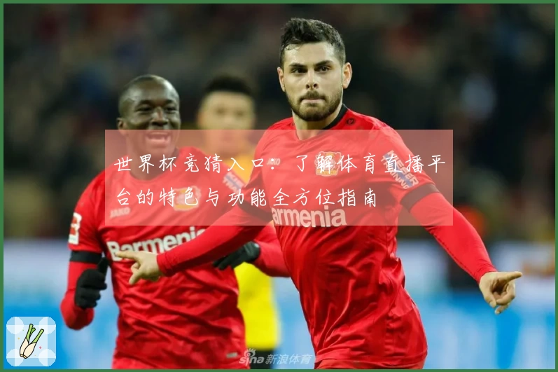 世界杯竞猜入口：了解体育直播平台的特色与功能全方位指南