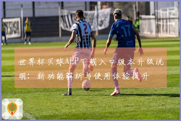 世界杯买球APP下载入口版本升级说明：新功能解析与使用体验提升