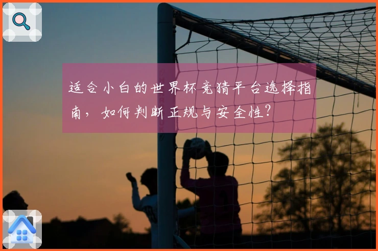 适合小白的世界杯竞猜平台选择指南，如何判断正规与安全性？