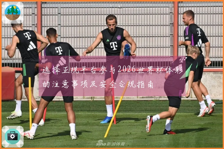 选择正规平台参与2026世界杯体彩的注意事项及安全合规指南