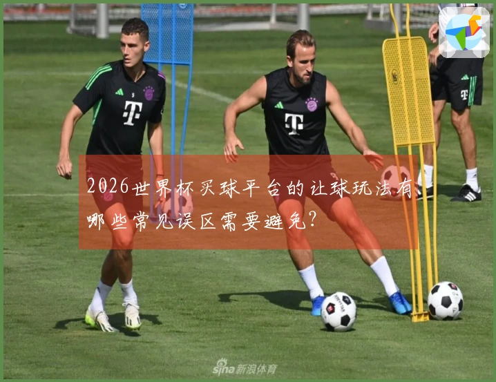 2026世界杯买球平台的让球玩法有哪些常见误区需要避免？