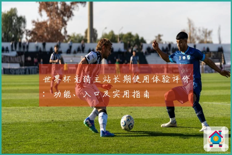 世界杯竞猜主站长期使用体验评价：功能、入口及实用指南