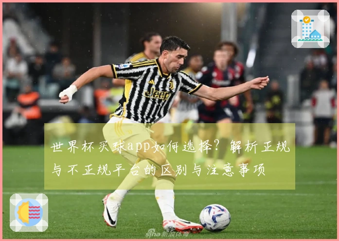 世界杯买球app如何选择？解析正规与不正规平台的区别与注意事项