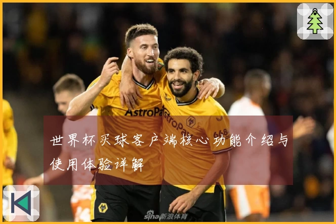 世界杯买球客户端核心功能介绍与使用体验详解