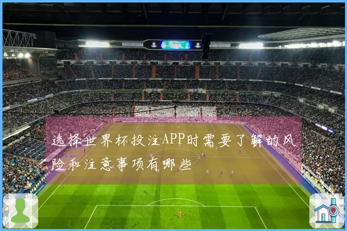 选择世界杯投注APP时需要了解的风险和注意事项有哪些