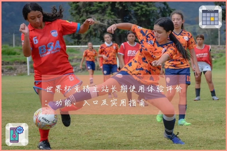 世界杯竞猜主站长期使用体验评价：功能、入口及实用指南