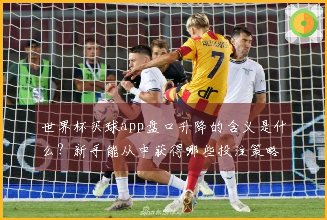 世界杯买球app盘口升降的含义是什么?新手能从中获得哪些投注策略?