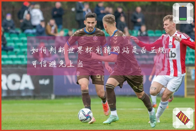 如何判断世界杯竞猜网站是否正规可信避免上当