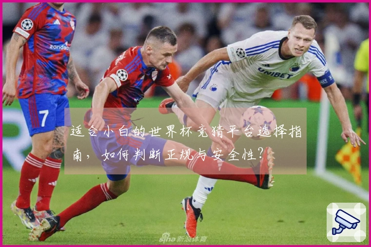 适合小白的世界杯竞猜平台选择指南，如何判断正规与安全性？