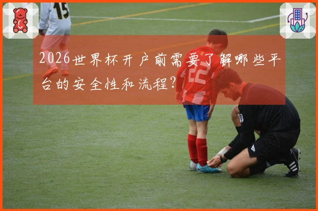 2026世界杯开户前需要了解哪些平台的安全性和流程？