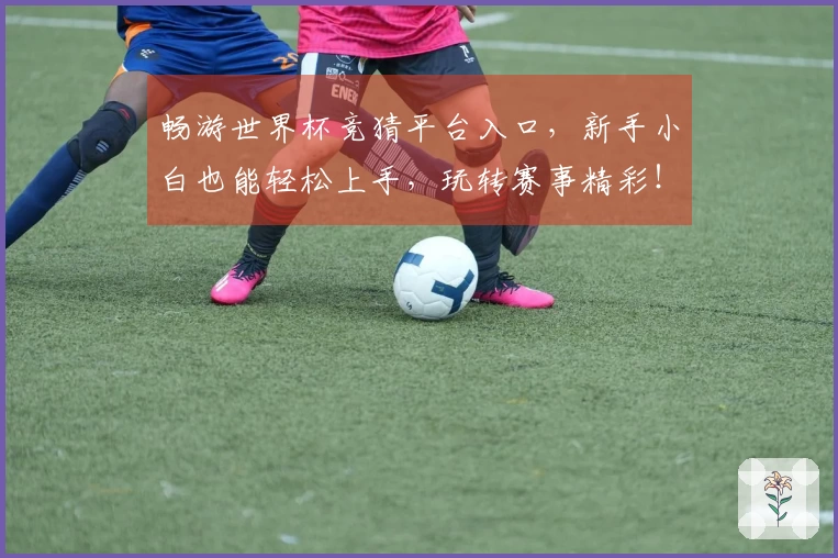 畅游世界杯竞猜平台入口，新手小白也能轻松上手，玩转赛事精彩！